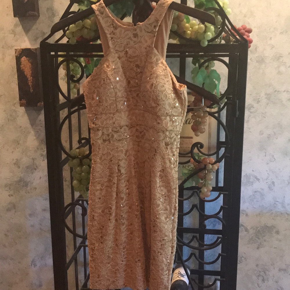 Beautiful Beige Lace and Sequence Dainty Dress.